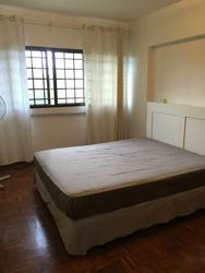 Normanton Park (Enbloc) (D5), Condominium #138276952